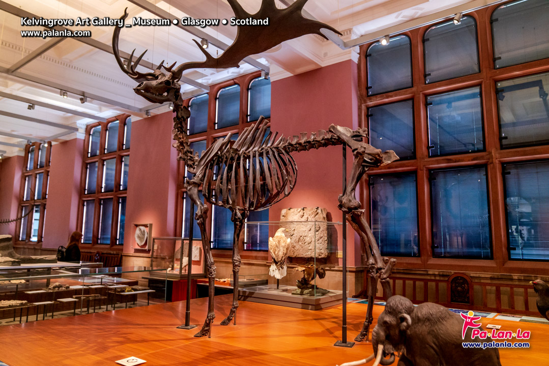 Kelvingrove Art Gallery & Museum